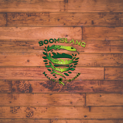 Boomslang